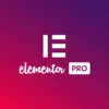 Elementor Pro Agency Pack